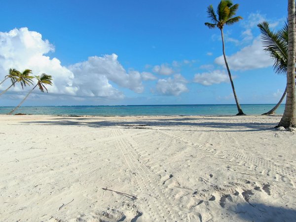 Unveiling sheffield"s steel heritage: essential tips for exploring britain"s rich industrial legacy